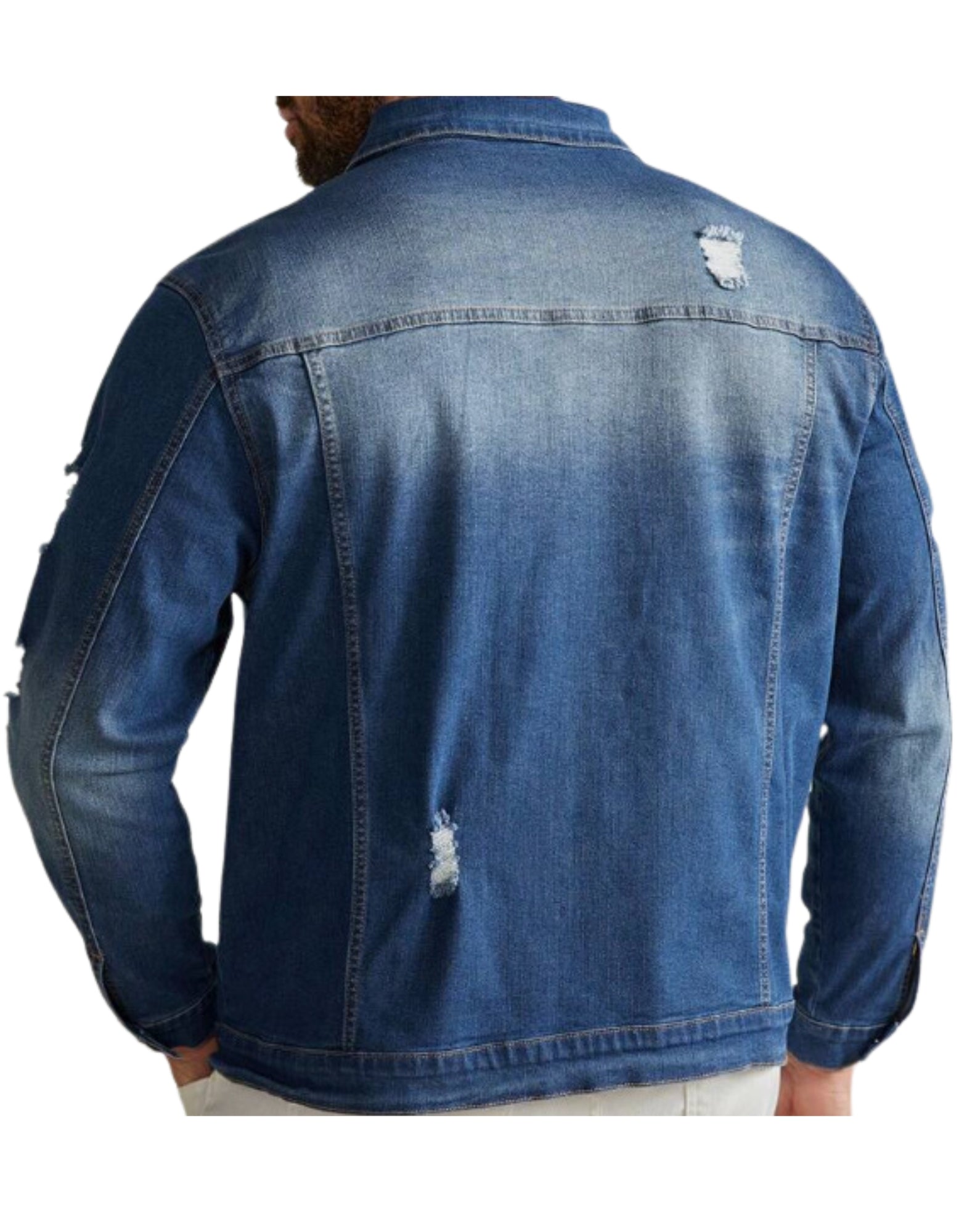 Chaqueta mezclilla elastica  Tallas Grandes | MASX Chile